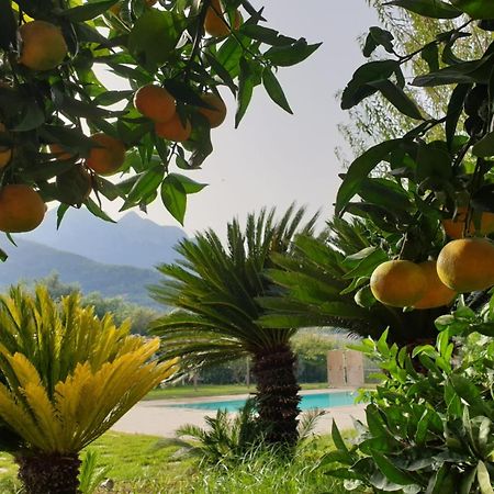 Terra Vitale Cava deʼ Tirreni Buitenkant foto