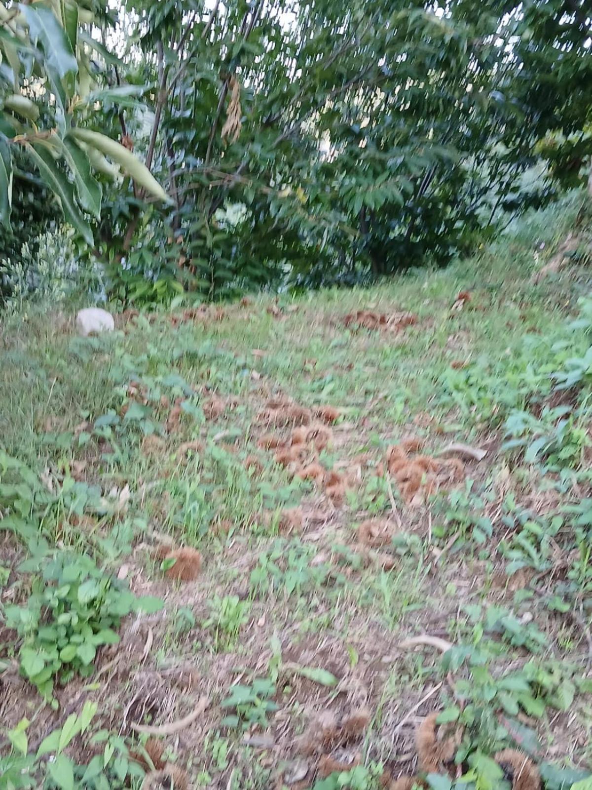 Terra Vitale Cava deʼ Tirreni Buitenkant foto