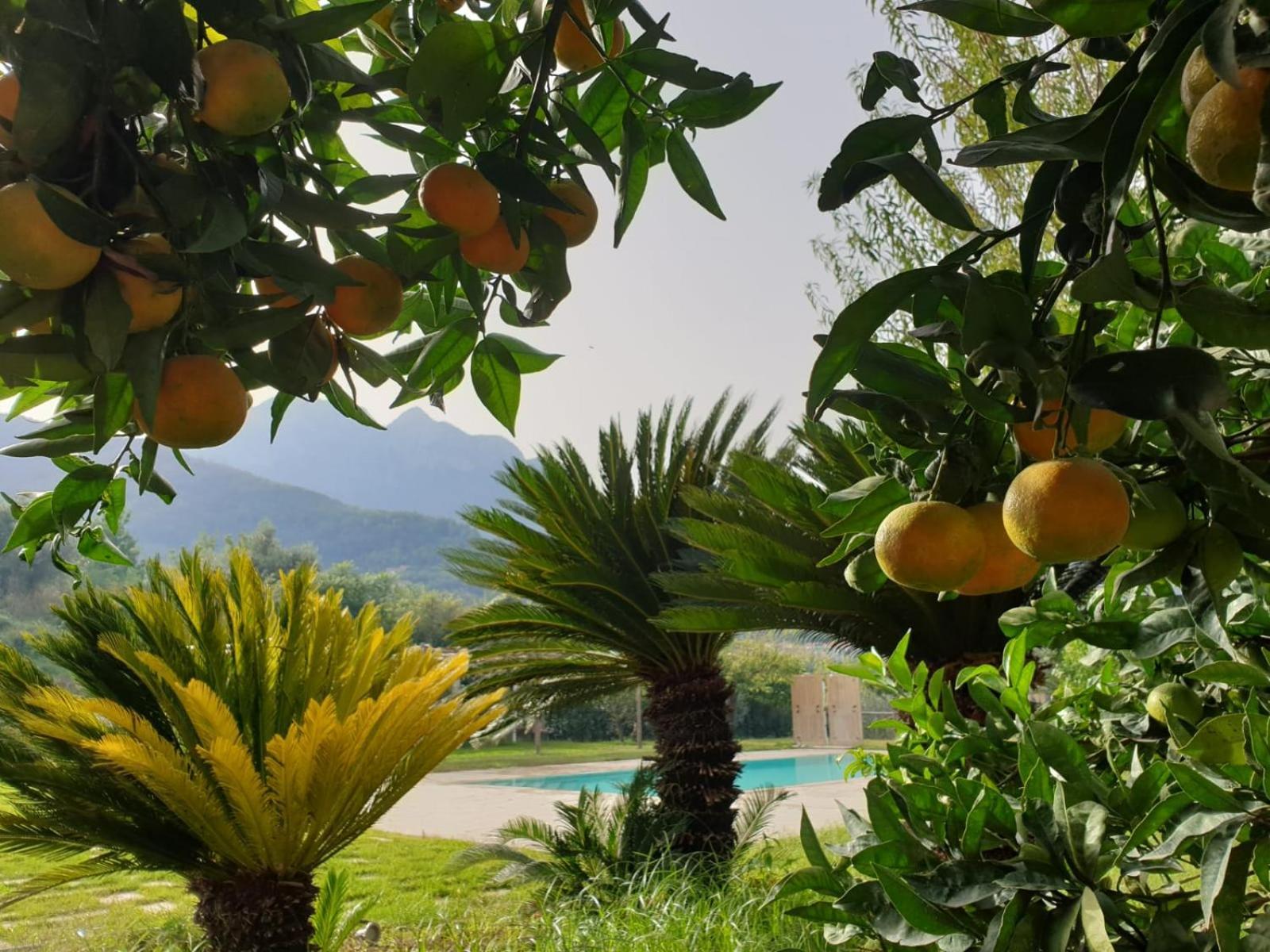 Terra Vitale Cava deʼ Tirreni Buitenkant foto