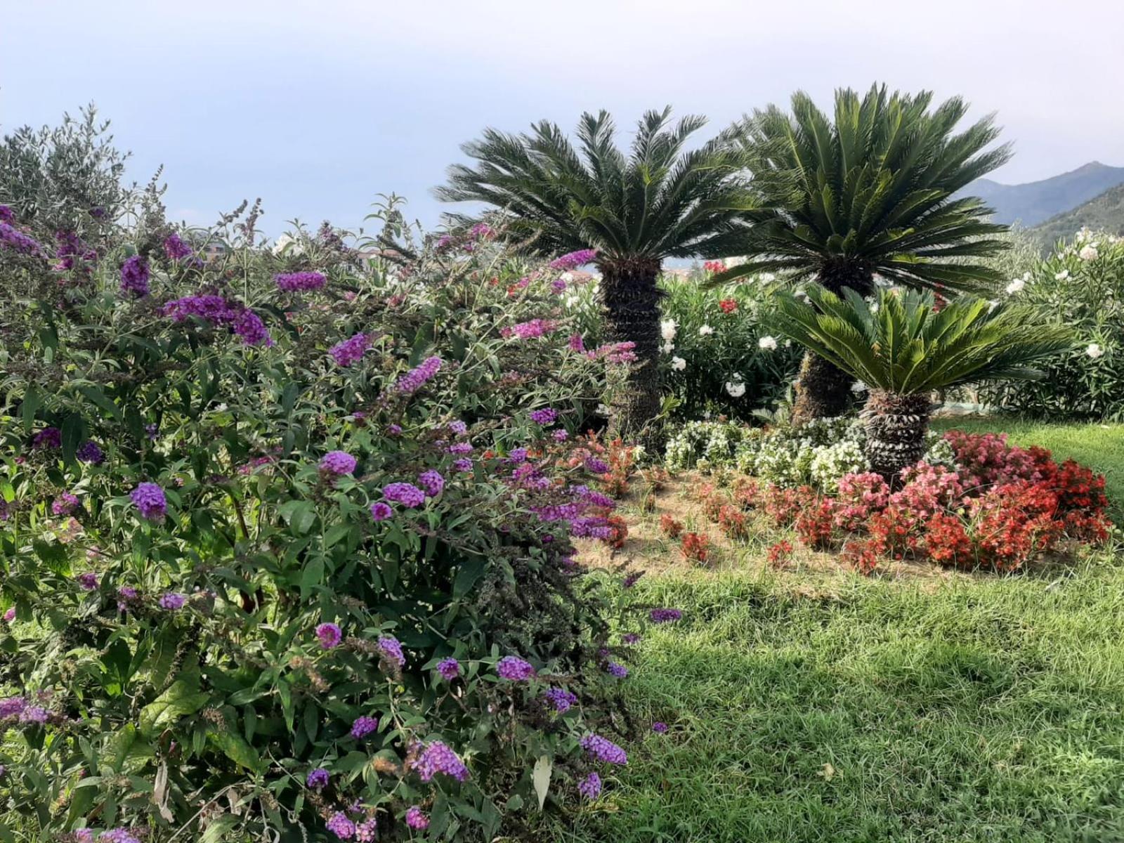 Terra Vitale Cava deʼ Tirreni Buitenkant foto